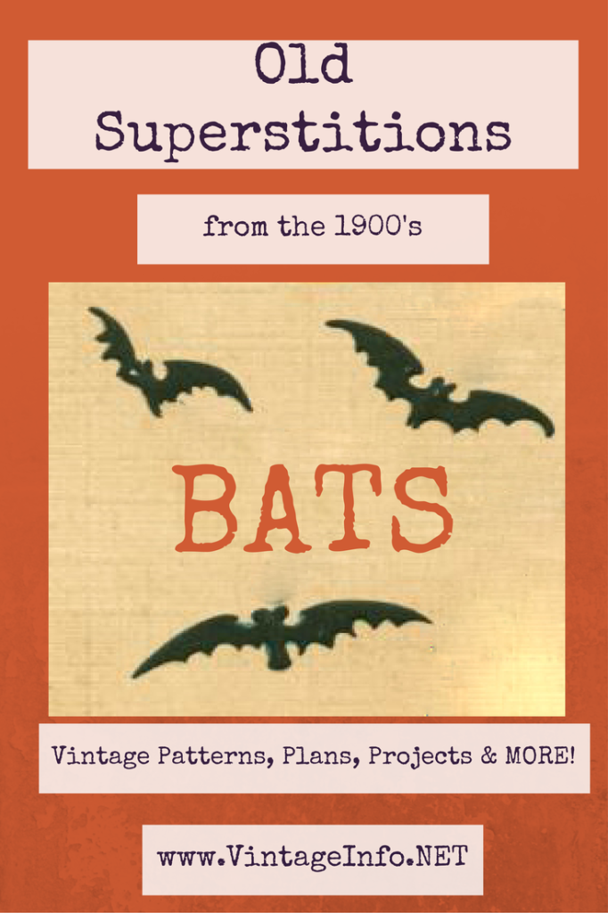 Superstitions About Bats http://vintageinfo.net/superstitions-about-bats/